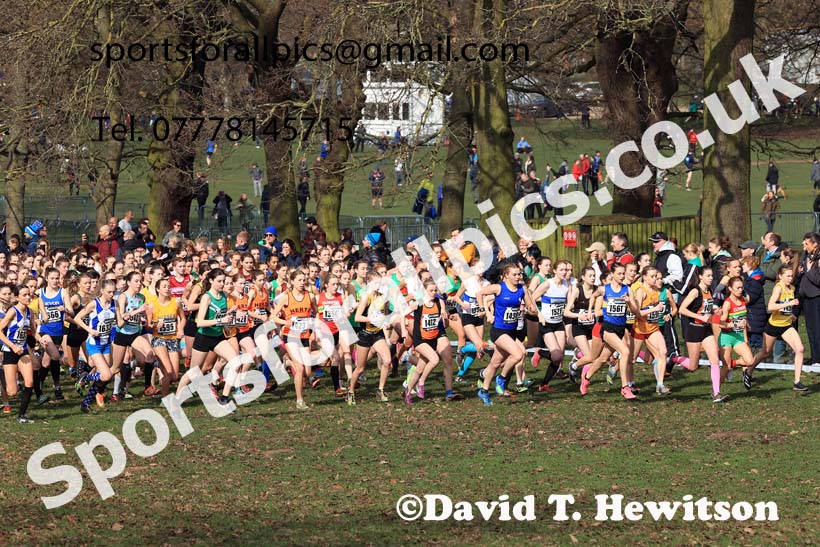 Womens Under-17s, 2024 CAU Inter Counties Cross Country Champs., Wollaton Park, Nottingham. Photo: David T. Hewitson/Sports for All Pics